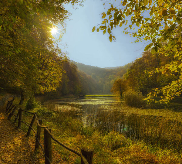 Matija Rođak - Park šuma Jankovac