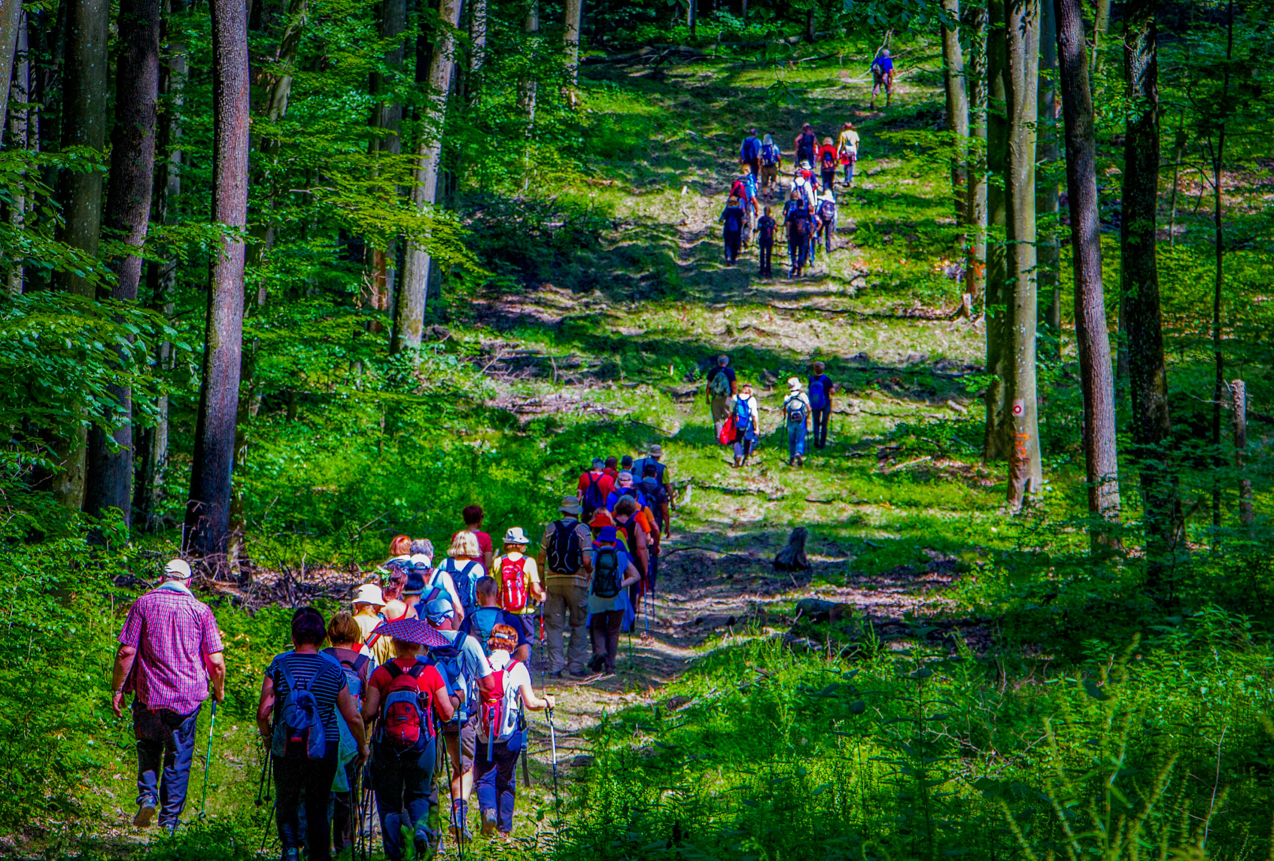 Friendly Tour | Turistička agencija Slavonija & Podravina 3 Trodnevni programi