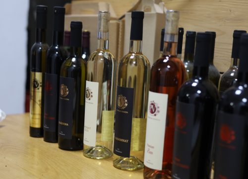 Podrum Vineda – U ritmu berbe i okusa vina 27.-28.9.2025.